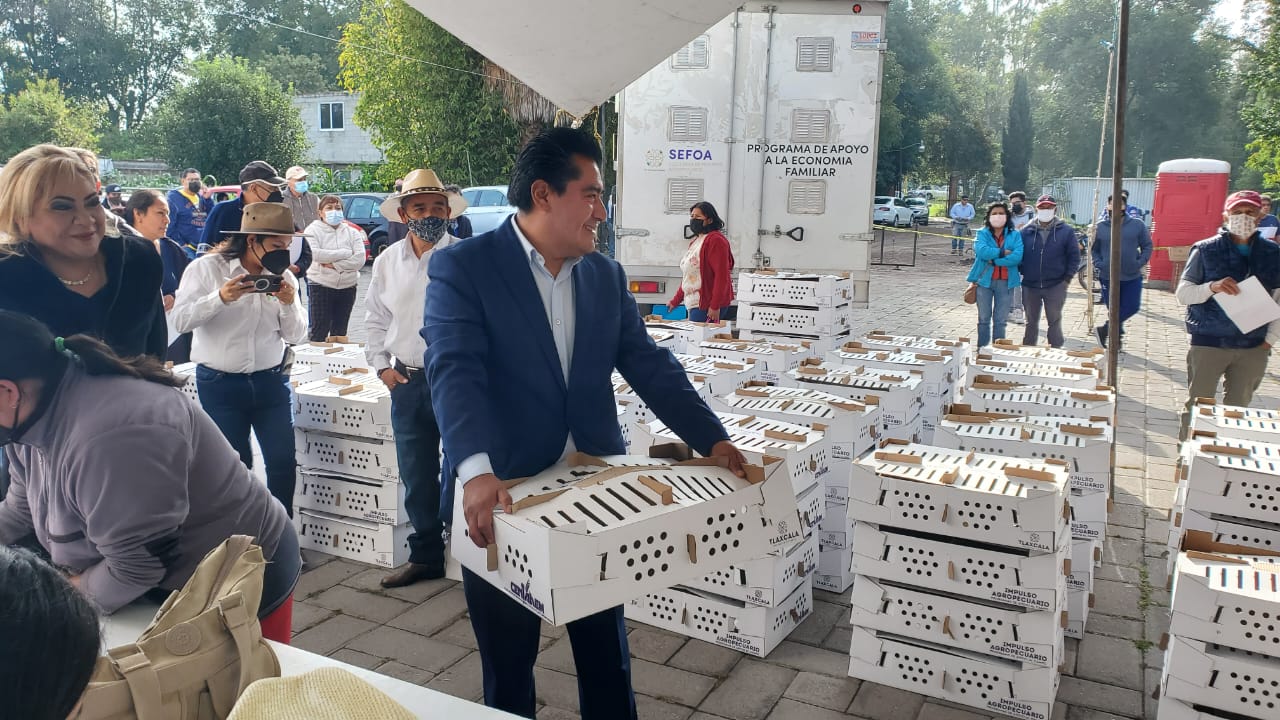 En Zacatelco, entregan más de mil aves de traspatio en apoyo a economía familiar